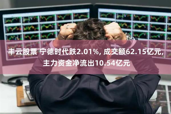 丰云股票 宁德时代跌2.01%, 成交额62.15亿元, 主力资金净流出10.54亿元