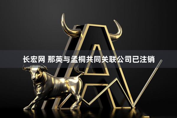 长宏网 那英与孟桐共同关联公司已注销