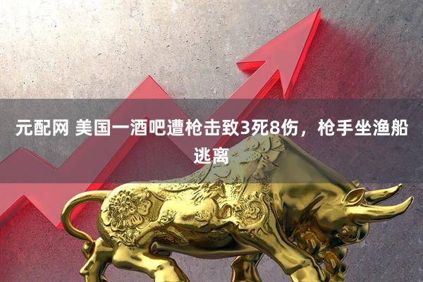 元配网 美国一酒吧遭枪击致3死8伤，枪手坐渔船逃离